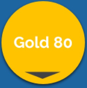 gold plan icon